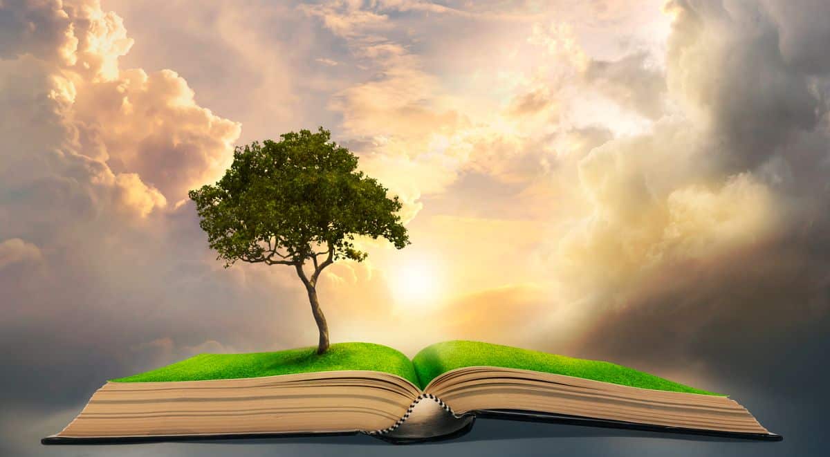 Life's Journey, Stories, and Reflections