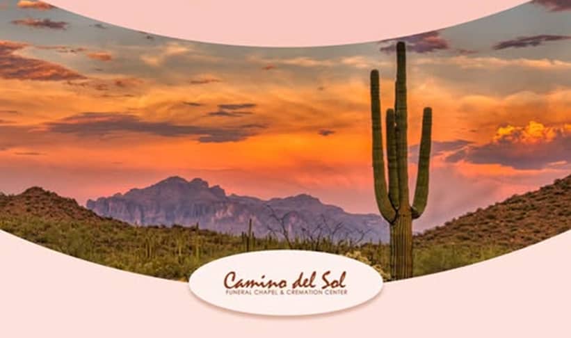 Colorful picture of desert with a cactus and the Camino del Sol logo in front